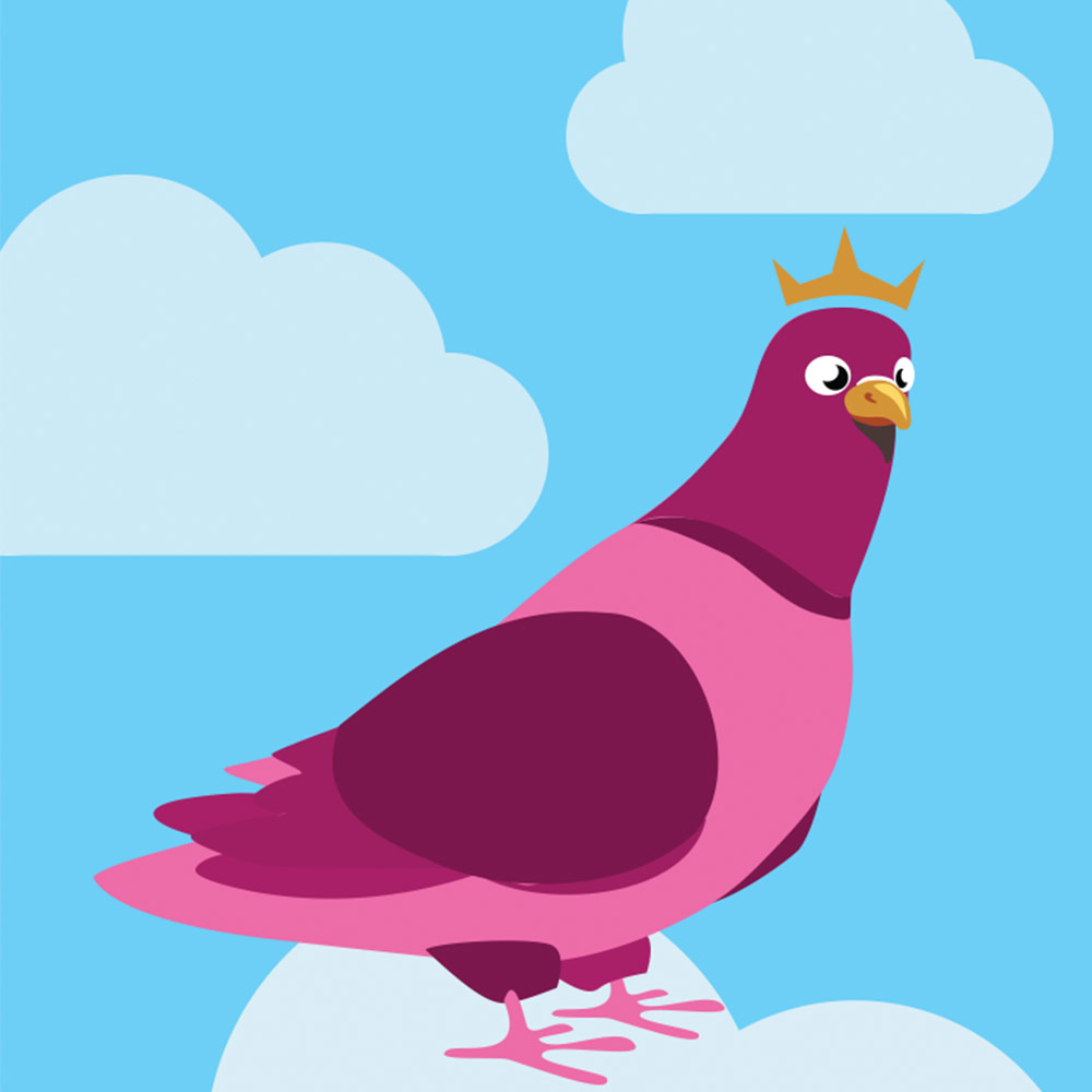 Pigeon App